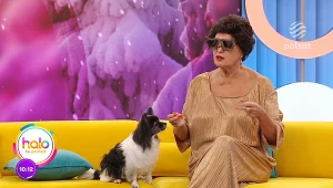 Ewy Kasprzyk w takim wydaniu jeszcze nie widzieliśmy. "Lubię grać kobiety silne"