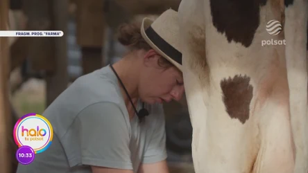 W ''Farmie'' rządzą emocje. Psycholog radzi, jak umiejętnie poradzić sobie z nadmiarem obowiązków