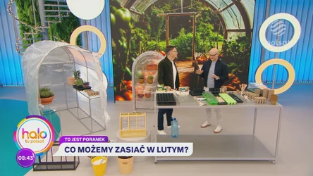 Jakie warzywa można siać już w lutym?