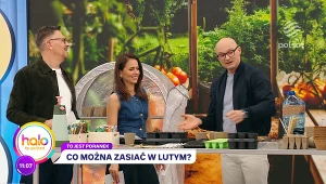 Co można zacząć sadzić w lutym? 