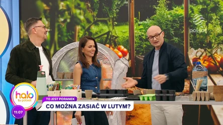 Co można zacząć sadzić w lutym? 