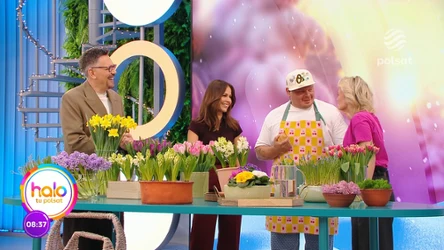 Rośliny, które zaproszą wiosnę do domu