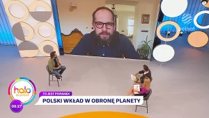 Co leci w kierunku Ziemi i czy tym razem mamy się czego obawiać?