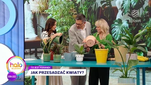 Kasia Joda pokazuje jak przesadzać kwiaty i jak walczyć z ich szkodnikami bez użycia chemii