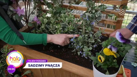 Darek Stolarz i Kasia Joda pokazują, jak zrobić pergolę na balkonie