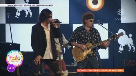 Pudelsi od czterdziestu lat na scenie. A wszystko zaczęło się w krynickiej willi