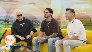 Zenek Martyniuk i Łobuzy w "halo tu polsat". Jak powstał wielki hit "Mandacik"?