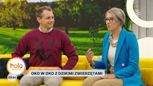 Dzikie zwierzęta w mieście