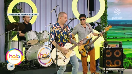 Zespół Kobranocka wystąpił w "halo tu polsat"