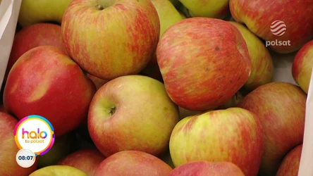 Sezon na jabłka