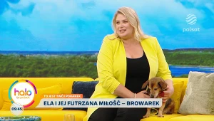 Elżbieta Romanowska o nowościach w programie "Nasz nowy dom"