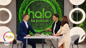 Polscy siatkarze na chwilę przed półfinałem. Kulisy, żarty i głos eksperta