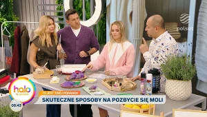 Jak się pozbyć moli odzieżowych? Eksperci zdradzają najlepszy sposób