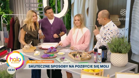 Jak się pozbyć moli odzieżowych? Eksperci zdradzają najlepszy sposób