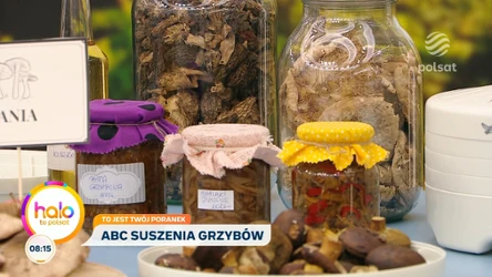 Grzybowe bogactwo jesieni – jak suszyć, kisić i przechowywać, by zimą smakowały jak świeże