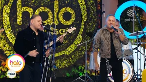 Golec uOrkiestra w "halo tu polsat"