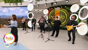 "Piątek, piąteczek, piątunio". Kultowy zespół z nową piosenką w "halo tu polsat"