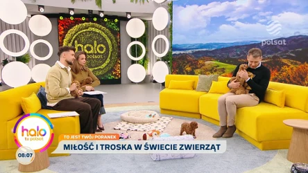 Rodzinne zachowania zwierząt