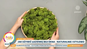 Rośliny do łazienki? Kasia Joda pokazuje, co działa w świetle i bez niego