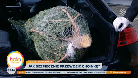 Święta bez mandatu, czyli jak bezpiecznie i zgodnie z przepisami przewieźć choinkę samochodem?