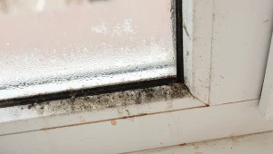 Jeśli tylko zauważysz ciemny nalot na oknach czy w łazience, działaj od razu