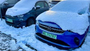 Program dopłat do samochodów elektrycznych NaszEauto sprawił, że na polskich drogach zaroiło się od aut z zielonymi tablicami rejestracyjnymi