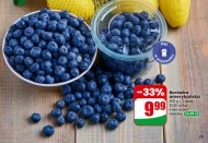 Borówka amerykańska