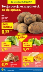 Styczeń naprawdę się opłaca - Lidl