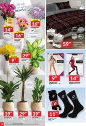 Moc promocji! - Twój Market