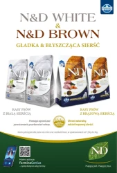 Promocje, które cieszą – Aquael Zoo