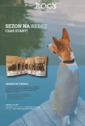 Promocje, które cieszą – Aquael Zoo