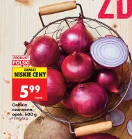Cebula czerwona Polski