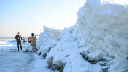Na plaży w Mikoszewie pojawiły się gigantyczne torosy. Niezwykłe zjawisko przyciąga tłumy turystów. 