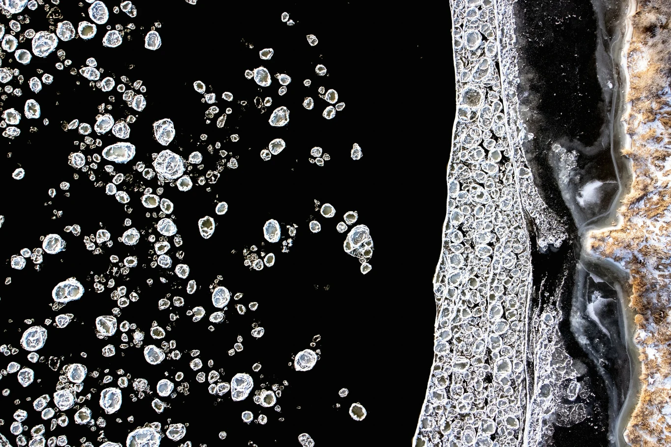 W pobliżu ujścia Wisły w Mikoszewie pojawił się śryż. 