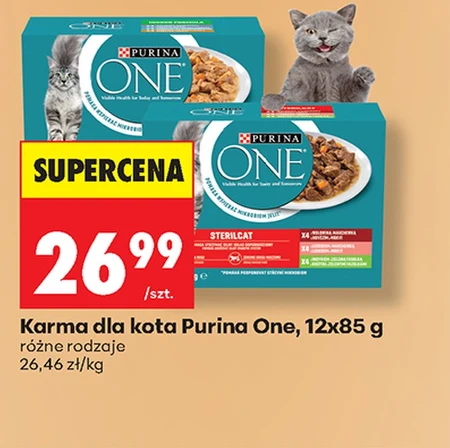 Корм для котів Purina One