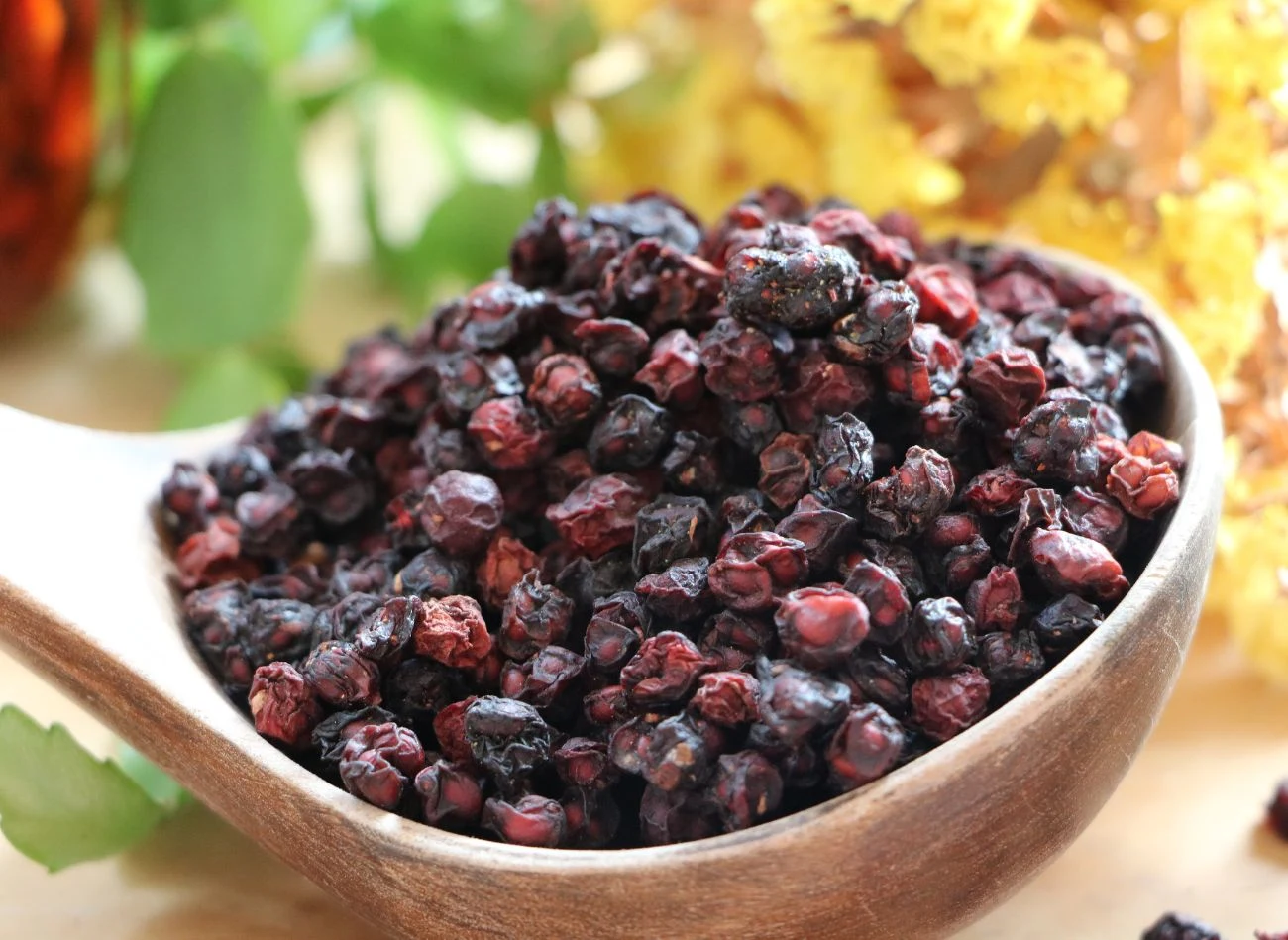 Cytryniec chiński (Schisandra chinensis) to pnącze z niewielkimi jagodami, które po ususzeniu można jeść np. z owsianką czy jogurtem. Cytryniec chiński (Schisandra chinensis) to pnącze z niewielkimi jagodami, które po ususzeniu można jeść np. z owsianką czy jogurtem.