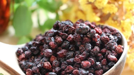 Cytryniec chiński (Schisandra chinensis) to pnącze z niewielkimi jagodami, które po ususzeniu można jeść np. z owsianką czy jogurtem.