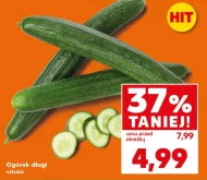 Ogórek Hit