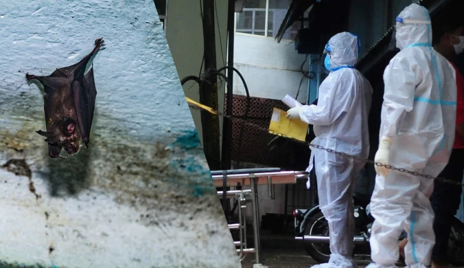 W Indiach wykryto przypadki zakażenia wirusem Nipah