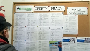 Branża transportu i logistyki ma problem ze znalezieniem kierowców do pracy.