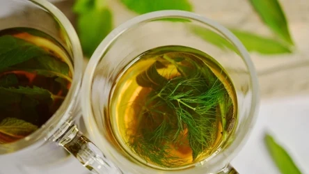 Prosty napar z estragonu pomaga trawieniu po obiedzie i ułatwia spokojny relaks wieczorem