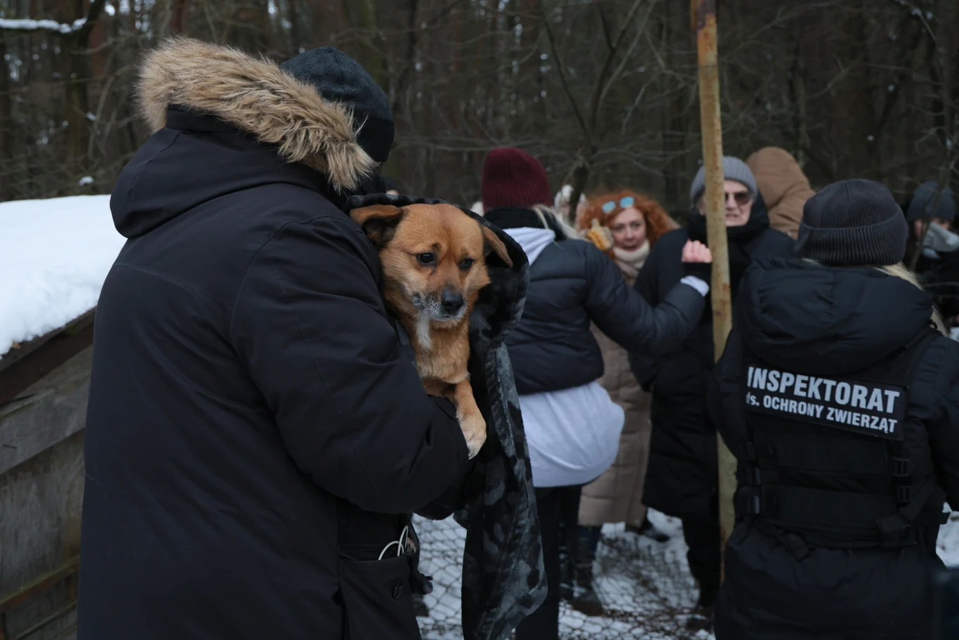 Grupa ludzi w zimowych ubraniach, jedna osoba trzyma psa, obok znajdują się osoby z napisem Inspektorat Ochrony Zwierząt na plecach. W tle drewniany płot i zaśnieżone otoczenie leśne.