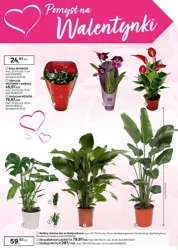 Nowa podłoga i wiele więcej