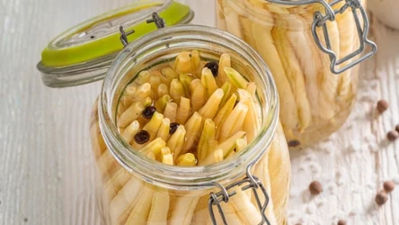 Kiszona skorzonera jest skarbnicą inuliny, czyli naturalnego prebiotyku