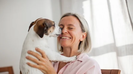 Pies liże nas i różne przedmioty z wielu powodów
