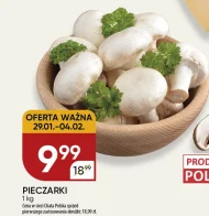 Гриби Chata polska