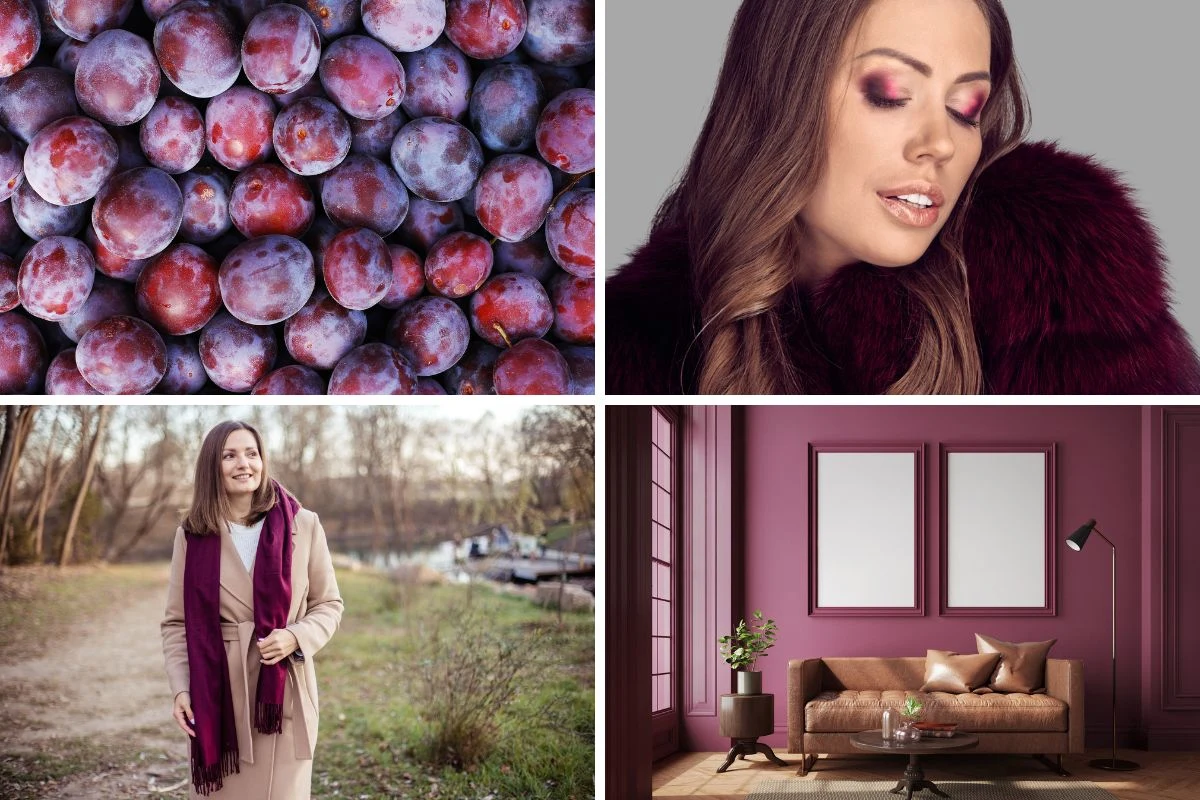 Kompozycja czterech obrazów: zbliżenie na świeże śliwki, kobieta z makijażem oczu w odcieniach śliwkowych, uśmiechniętą kobietę w beżowym płaszczu ze śliwkowym szalem, pokój ze śliwkowymi ścianami i brązową kanapą