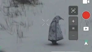 Rosyjskie "Pingwiny" wyszły z baraków. Ukraińcy nie kryją zdziwienia