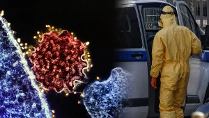 Powrót śmiertelnego wirusa Nipah. WHO wydała oświadczenie