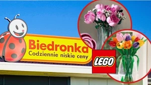Dziewczyny będą zachwycone! LEGO kwiaty trafiły do Biedronki